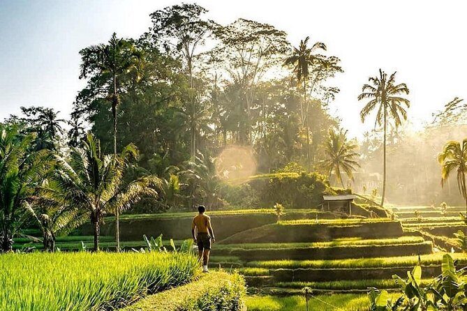 Best of Ubud - Full day Tour + FREE WI-FI - You get guidance, but you still keep the pace