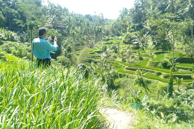 Best Of Ubud Scenic Full Day Private Guided Tour - Key Highlights You’ll Actually Care About