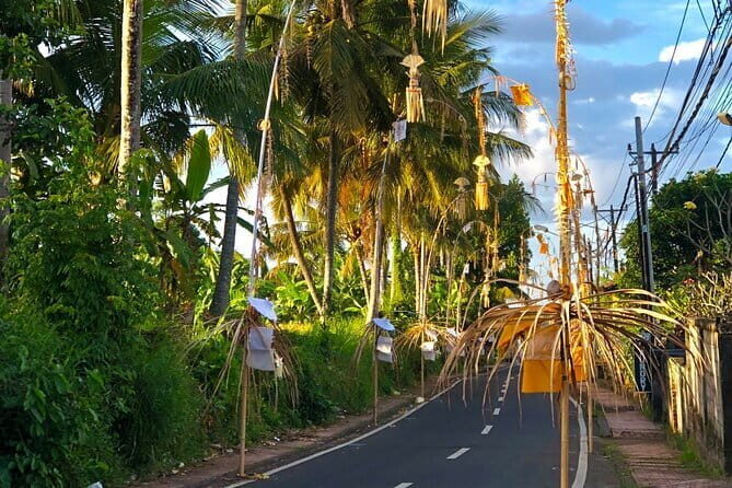 Best Of Ubud Scenic Full Day Private Guided Tour - How This Ubud Day Hits All the Main Shows Without the Stress