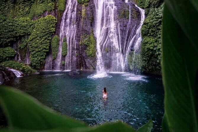 Best Of Ubud Scenic Full Day Private Guided Tour - Tegalalang Rice Terrace: The Classic View, Done Right
