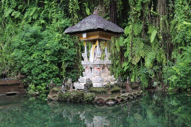 Best of Ubud with Jungle Swing Experience - A private Ubud day that starts with real craft villages