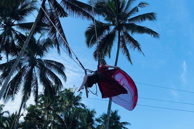 Best of Ubud with Jungle Swing Experience - Price and value for a 6–7 hour private tour