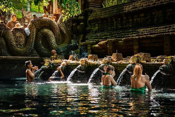 Best Ubud Tour Private Tour All Inclusive Package - Key Highlights That Matter on the Ground