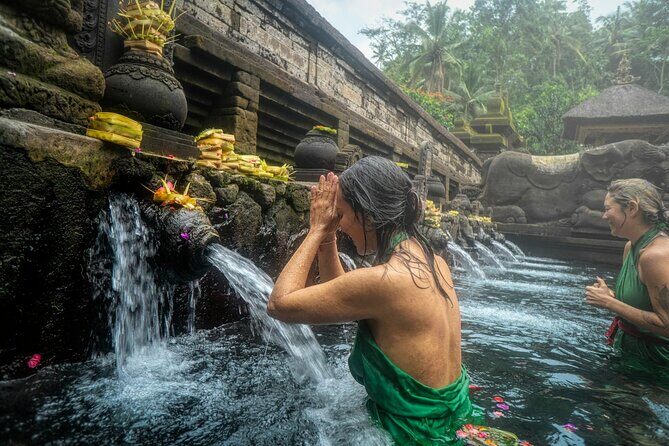 Best Ubud Tour Private Tour All Inclusive Package - The Feel of a Private Ubud Day: Full Hits, No Maze