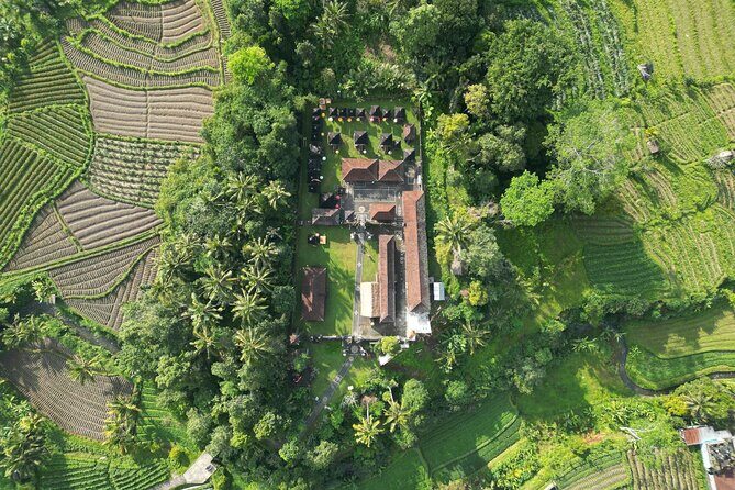 Best Ubud Tour Private Tour All Inclusive Package - Stop 5: Ulu Petanu Waterfall for a Cooler Finish