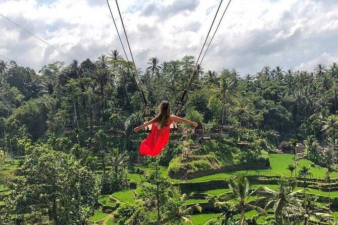 Best Ubud Tour Private Tour All Inclusive Package - Price A vs B vs C: Where the Real Value Lives