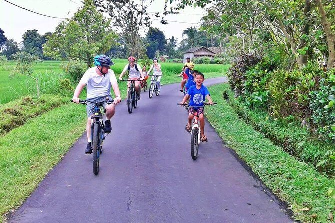 Bike ride in the rice fields, Bali countryside - When Farmers Join the Ride (and What a School Stop Adds)