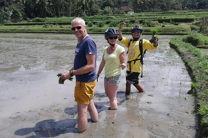 Bike ride in the rice fields, Bali countryside - The Coconut Break and a Lunch That Actually Fits the Day