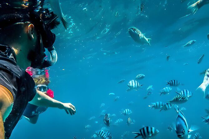 Blue Lagoon Snorkeling - Bali Best Snorkeling Site - Key things to know before you go