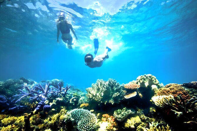 Blue Lagoon Snorkeling - Bali Best Snorkeling Site - Your instructor and how you learn in open water