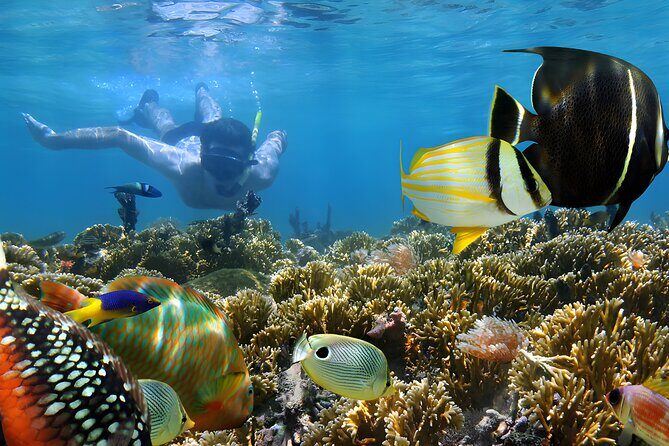 Blue Lagoon Snorkeling - Bali Best Snorkeling Site - Timing tips: go earlier if you can