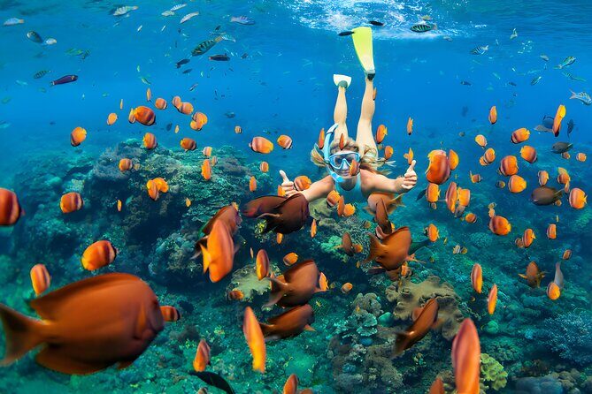 Blue Lagoon Snorkeling - Bali Best Snorkeling Site - Photo-focused snorkeling: close-ups are the goal