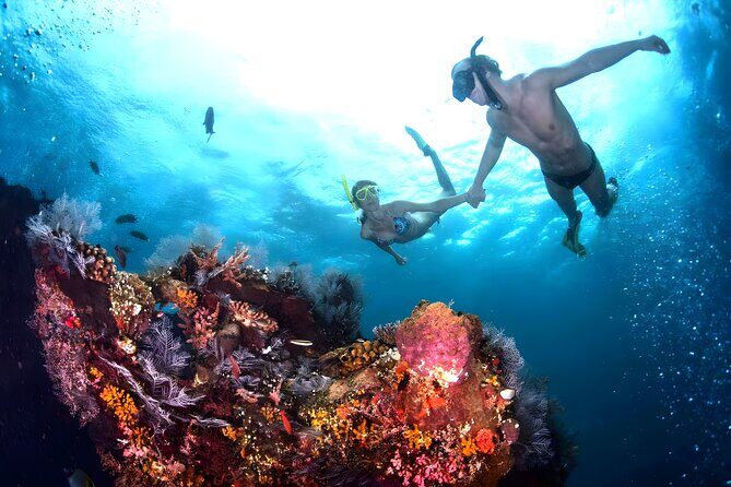 Blue Lagoon Snorkeling - Bali Best Snorkeling Site - Private transfers from Ubud and south Bali: the real value