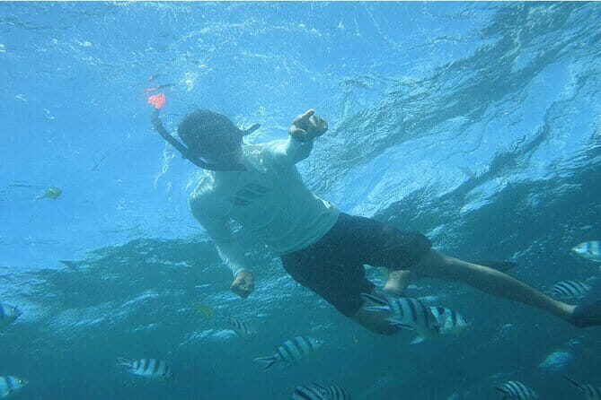 Blue Lagoon Snorkeling with Lunch and Private Transport - Blue Lagoon and Tanjung Jepun: the low-crowd side of Seminyak