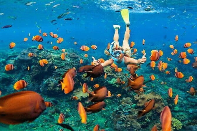 Blue Lagoon Snorkeling with Lunch and Private Transport - Private transport and a quieter group experience