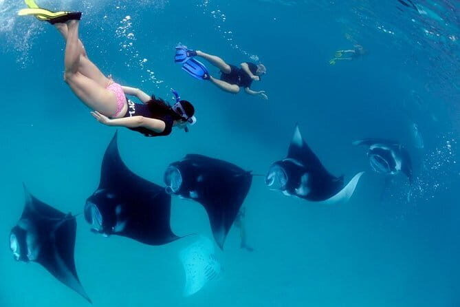 Blue Lagoon Snorkeling with Lunch and Private Transport - What’s included, what’s not, and what you should prepare