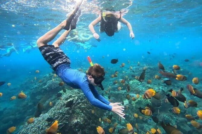 Blue Lagoon Snorkeling with Lunch and Waterfall in Ubud - Key Points Before You Go