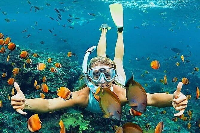 Blue Lagoon Snorkeling with Lunch and Waterfall in Ubud - A Private Full-Day Combo: Ocean, Waterfall, and Coffee