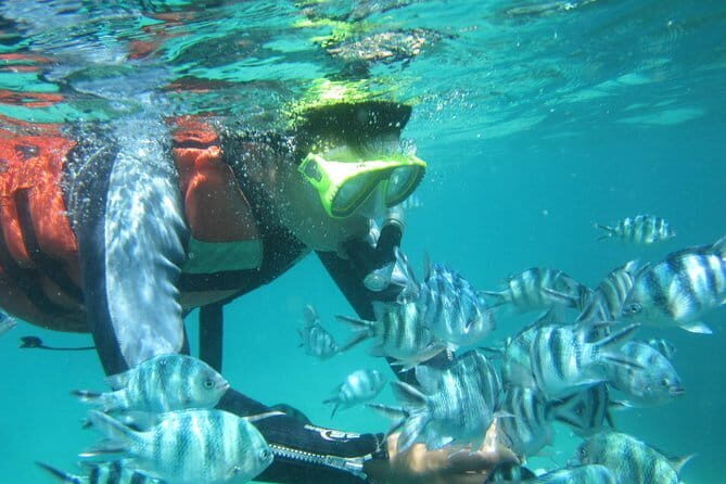 Blue Lagoon Snorkeling with Lunch and Waterfall in Ubud - Transport and Timing: How the Car Helps You Enjoy the Day