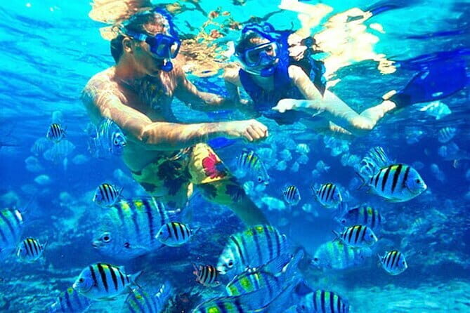 Blue Lagoon Snorkeling with Lunch and Waterfall in Ubud - Blue Lagoon Snorkeling Near Ceningan: Two Stops and Real Gear