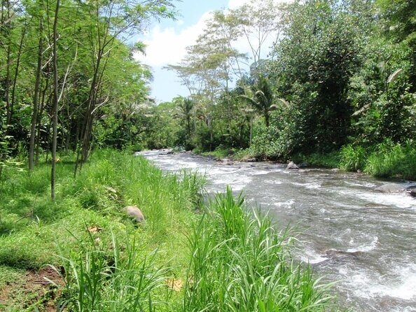 BMW Bali Rafting + Flying Fox at Telaga Waja River (LESS STAIRS) - Quick hits before you go