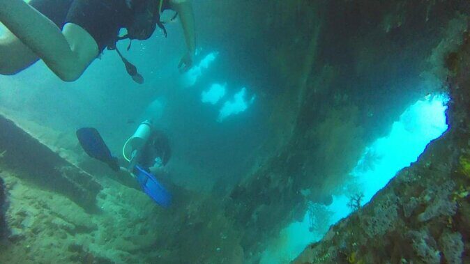 Day Trip certified divers - 3 Dives in Tulamben (pick-up & drop-off included) - Key things you’ll notice right away