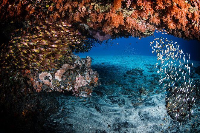 Day Trip certified divers - 3 Dives in Tulamben (pick-up & drop-off included) - Between sessions at Tulamben Bay: comfort, food, and not rushing