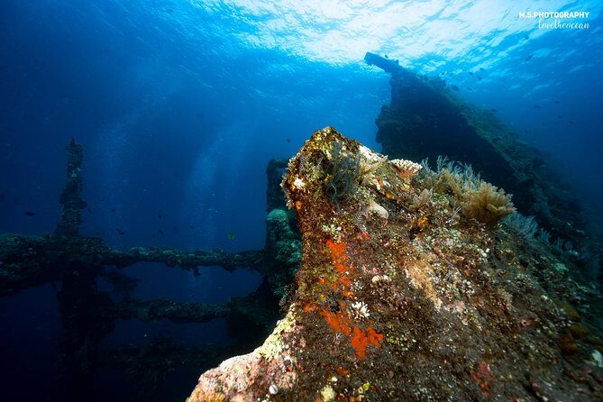 Day Trip certified divers - 3 Dives in Tulamben (pick-up & drop-off included) - Gear, cameras, and what is and isn’t included