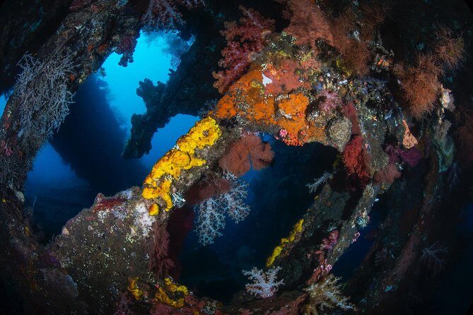 Day Trip certified divers - 3 Dives in Tulamben (pick-up & drop-off included) - Price and value: is $149.80 a smart deal?