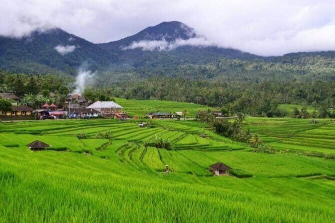 Discover Bali : Shore Excursion from Benoa Port with Free Wi-Fi - Price and value: what $119 really buys you on a shore day