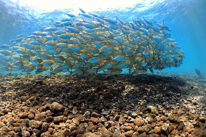 Discover Scuba Diving Tulamben Bali For Non-Certified Divers - Why the USAT Liberty wreck works so well for first-timers