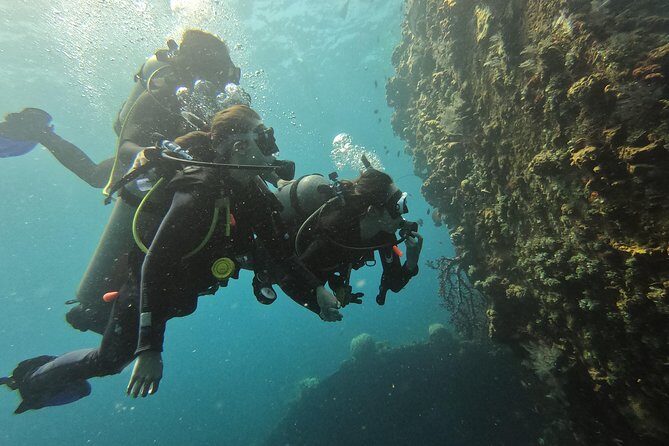 Discover Scuba Diving Tulamben Bali For Non-Certified Divers - Price and logistics: what the $206.48 includes, and what it does not