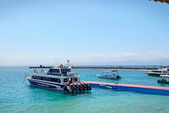 Fast Boat Transfer: Sanur to Nusa Penida by Penidago - Arrival at Nusa Penida: shoreline transitions and why the dock setup matters