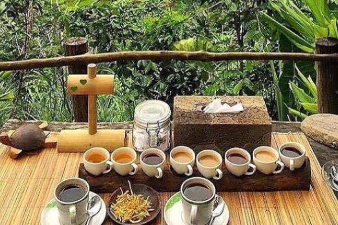 Favorite Sites of Ubud Daytrip - Tegenungan Waterfall and Tegalalang Rice Terrace: two scenic stops, two very different rhythms