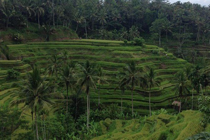 Favorite Sites of Ubud Daytrip - Celuk Village: watching gold and silver craft in action