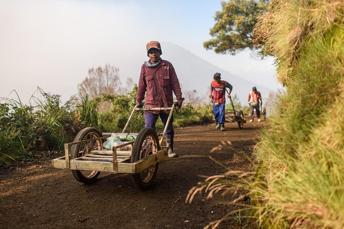From Bali : Bromo & Kawah Ijen – 3-Day Adventure - Who Should Book This Bromo & Ijen 3-Day Adventure