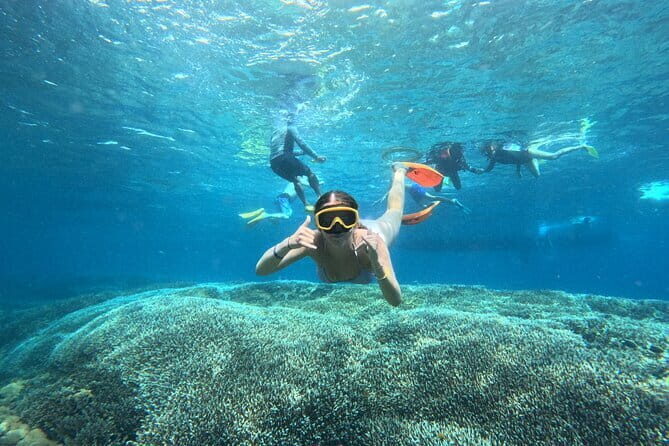 From Bali: Nusa Penida Full Day Tour and Snorkeling - Gamat Bay and the chance to see sea turtles