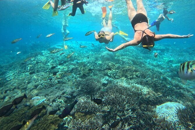 From Bali: Nusa Penida Full Day Tour and Snorkeling - Broken Beach and Angel’s Billabong: one stop, two dramatic scenes