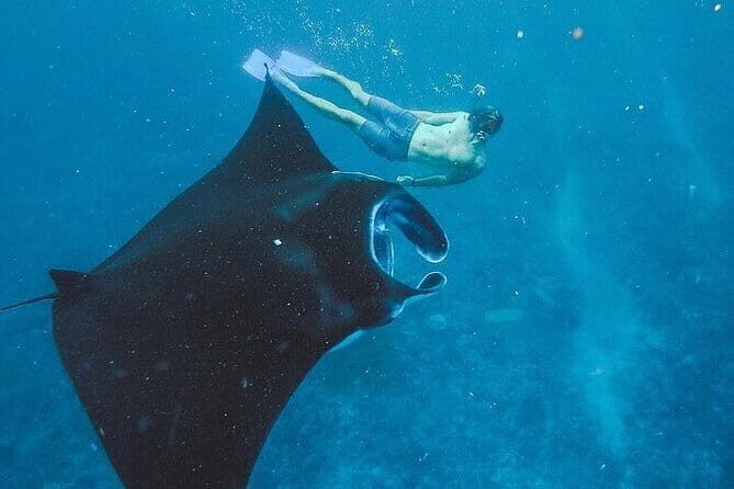 From Bali: Nusa Penida Snorkeling and Island Tour - Key points before you go