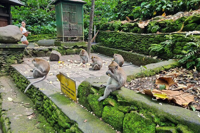 Full Day Best of Ubud Private Tour - Pickup from Ubud and south Bali: convenient, but read the fine print
