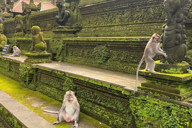 Full Day Best of Ubud Private Tour - Tegenungan Waterfall: nature time with a short clock