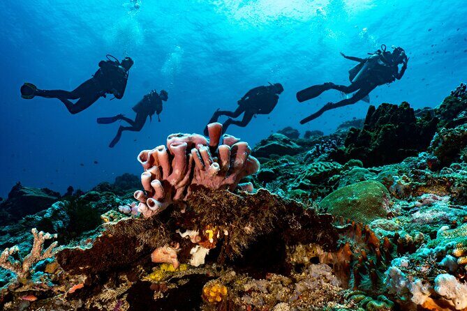 Full-Day Discover Scuba Diving Tour for Beginners in Tulamben - Lunch, Hot Drinks, and Dive Center Comforts That Actually Help