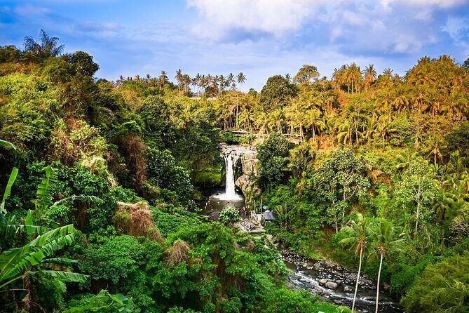 Full-Day Highlights and Best of Ubud Village - Tegalalang Rice Terrace: Big Views, Crowd Sense, and Photo Strategy