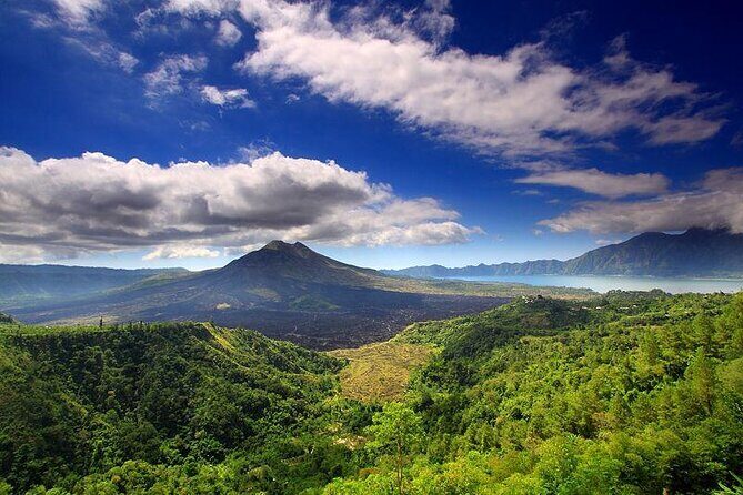 Full Day Kintamani Volcano View and Ubud Village Tour - How the day is stitched together (and why it works)