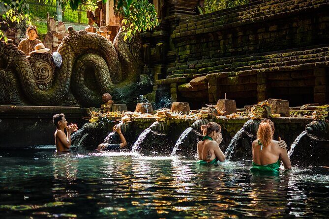 Full Day Kintamani Volcano View and Ubud Village Tour - Ubud Monkey Forest sanctuary: enjoy it, but respect it