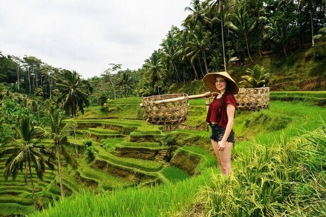Full Day Private Guided Tour in Bali - The Real Price Math: $37 Base Cost Plus Several Ticketed Stops