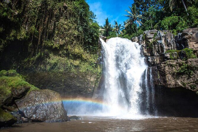 Full Day Ubud Tour - Key Things to Know Before You Go