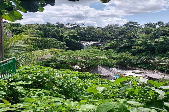 Full Day Ubud Tour - Tegalalang Rice Terrace and Subak Irrigation Views