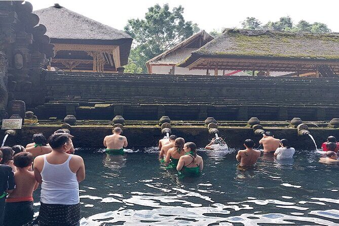 Full Day Ubud Tour - Pura Taman Saraswati and Its Lotus-Pond Calm