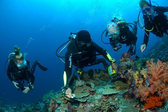 Fun Diving Tulamben Bali - For Certified Divers - The Seminyak-to-Tulamben day: early pickup, long ride, real structure